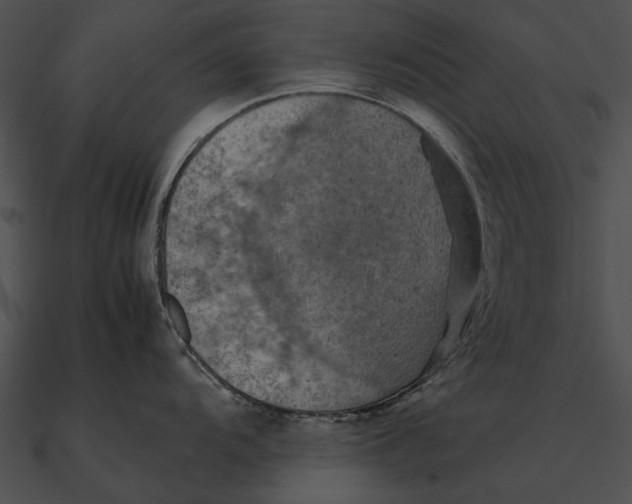 X0000090491104200708031141