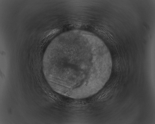 X0000090491105200708031140