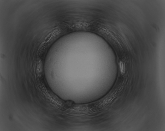 X0000090491107200708031140