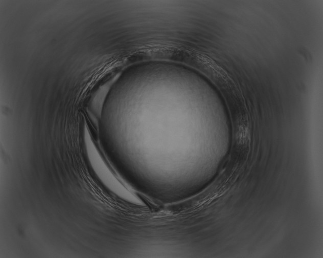 X0000090491108200708031140