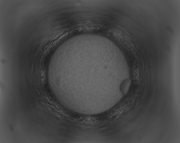 X0000090491109200708031140