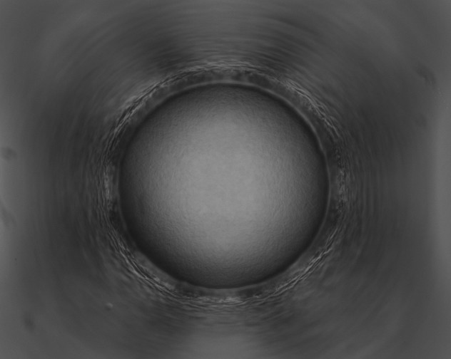 X0000090491110200708031140