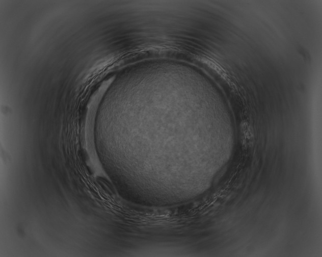 X0000090491111200708031140