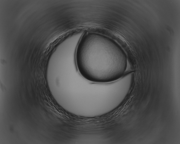 X0000090491112200708031140