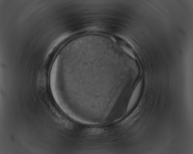 X0000090491115200708031140