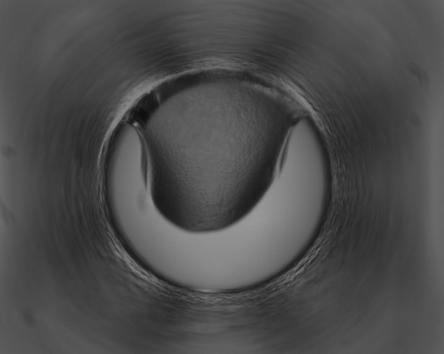 X0000090491116200708031140