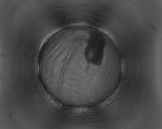 X0000090491117200708031140