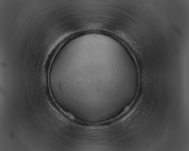 X0000090491118200708031140