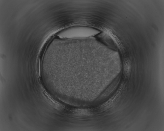 X0000090491123200708031140