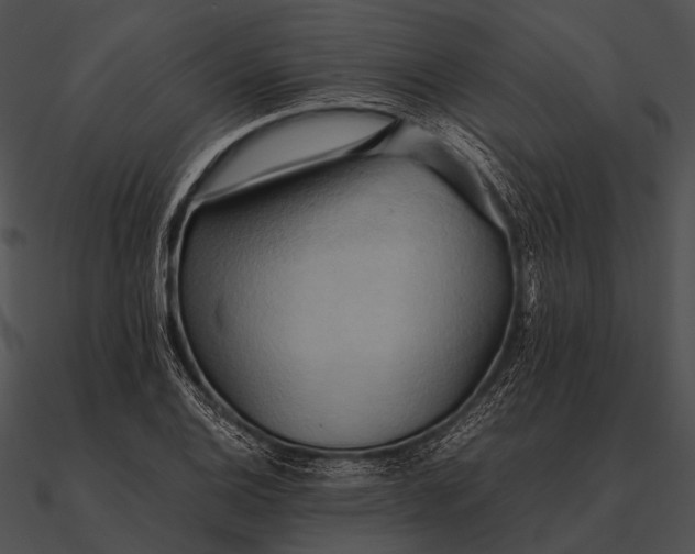 X0000090491124200708031140