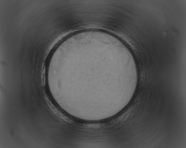 X0000090491126200708031140