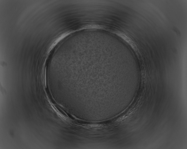 X0000090491127200708031140