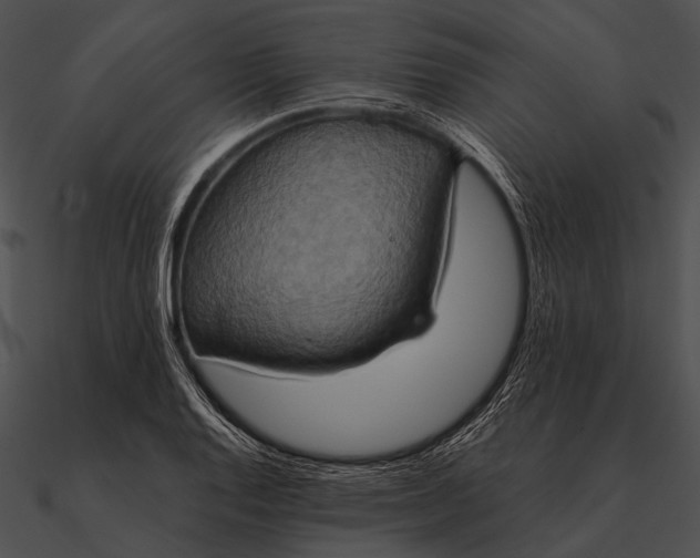 X0000090491128200708031141