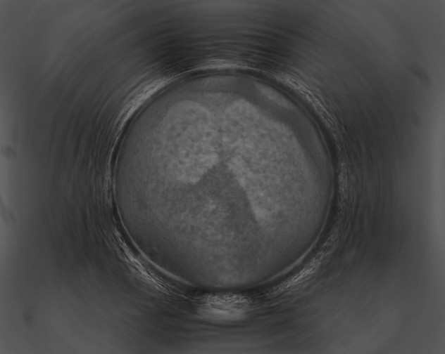 X0000090491129200708031141