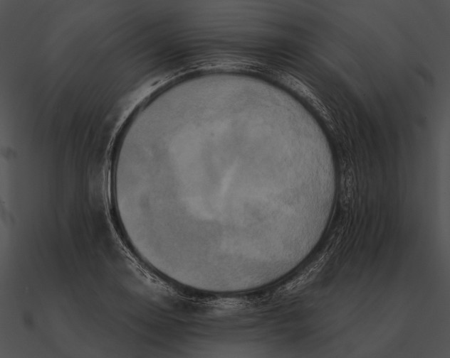 X0000090491130200708031141