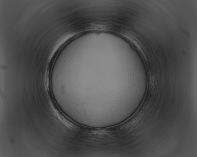 X0000090491131200708031141