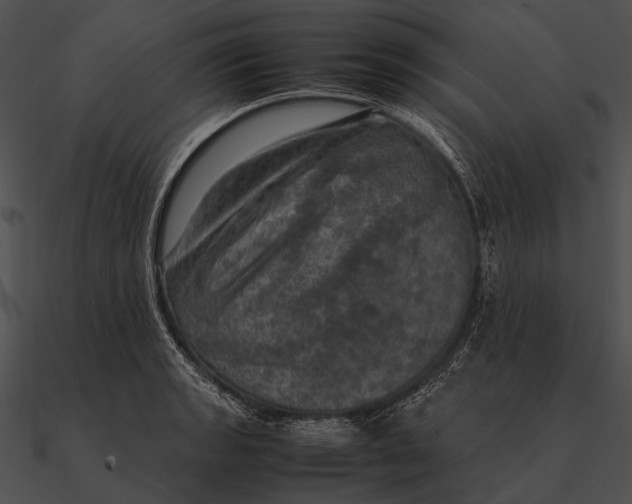 X0000090491133200708031141