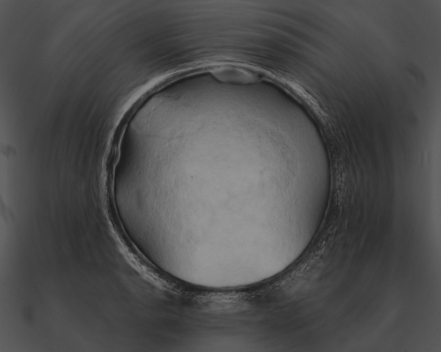 X0000090491134200708031141