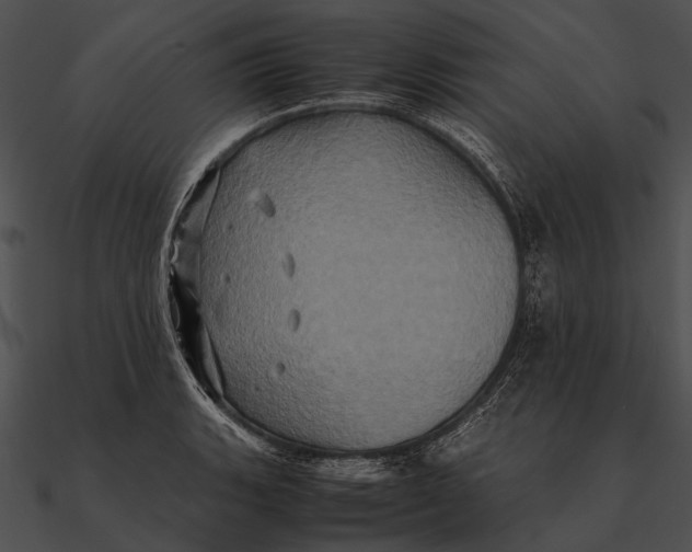 X0000090491135200708031141