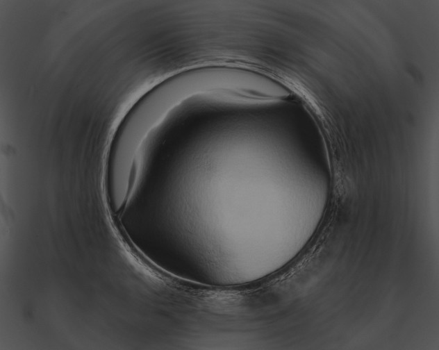 X0000090491136200708031141