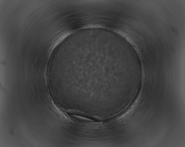 X0000090491137200708031141