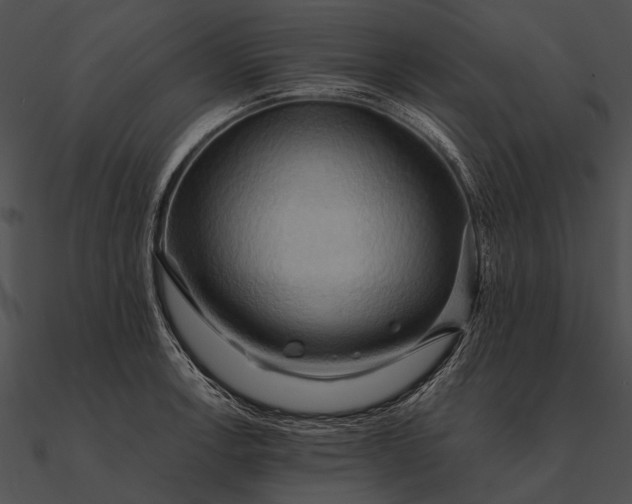 X0000090491138200708031141