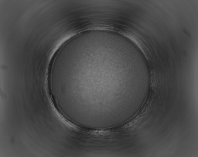 X0000090491139200708031141