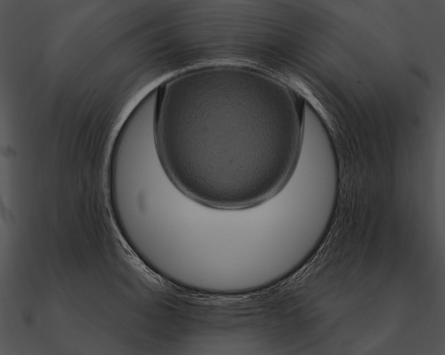 X0000090491140200708031141