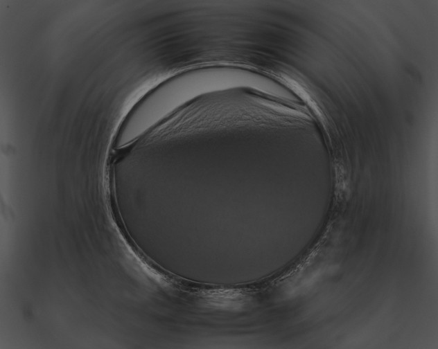 X0000090491141200708031141