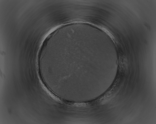 X0000090491142200708031141