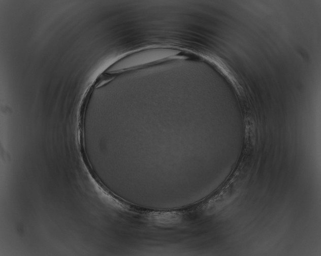 X0000090491143200708031141