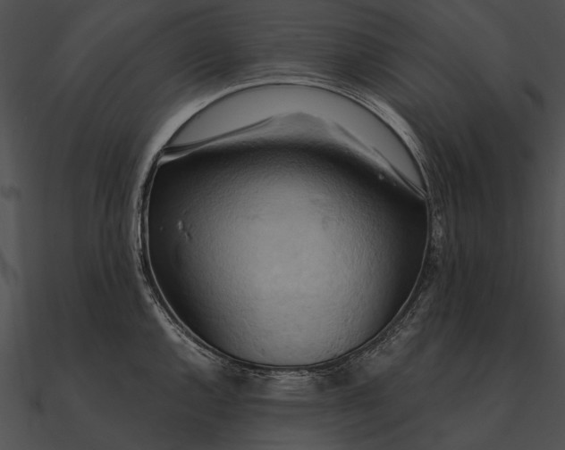 X0000090491144200708031141