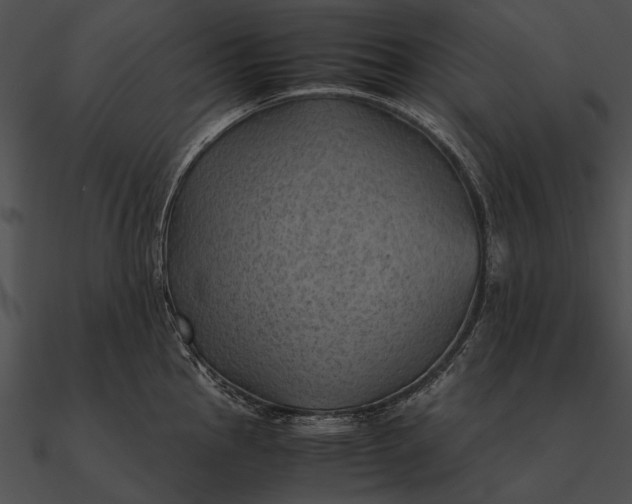 X0000090491145200708031141