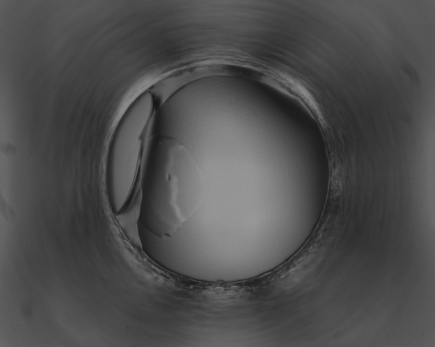 X0000090491146200708031141