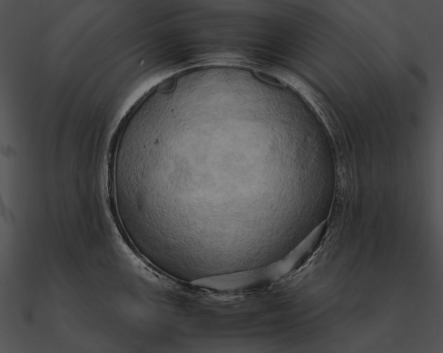 X0000090491147200708031141