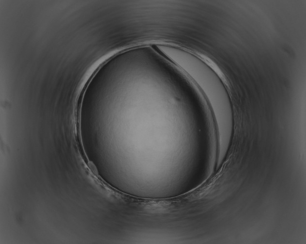 X0000090491148200708031141