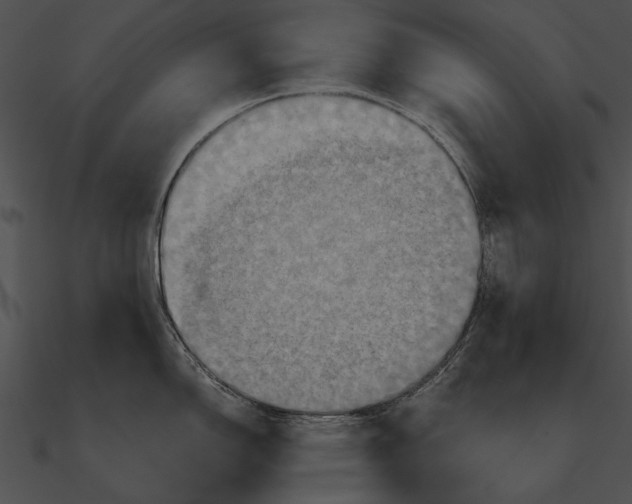 X0000090491150200708031141