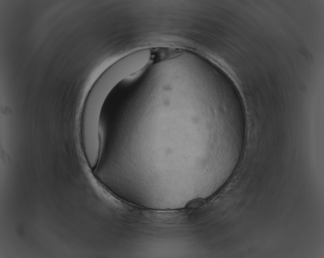 X0000090491152200708031141