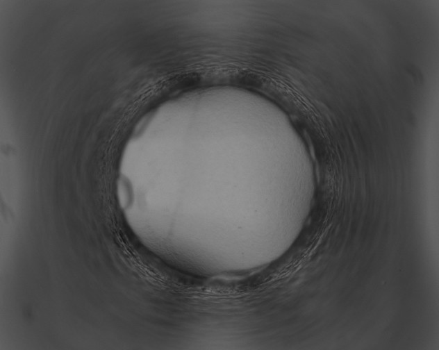 X0000090491153200708031140