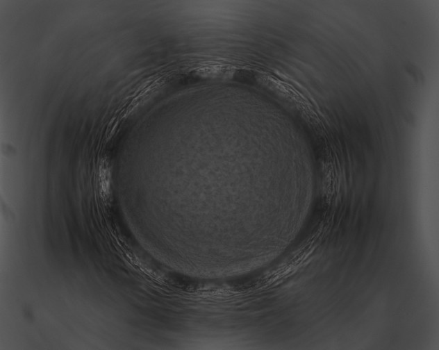 X0000090491154200708031140