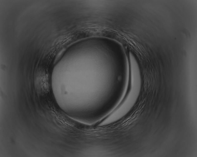 X0000090491156200708031140