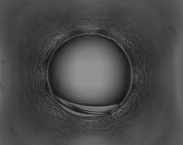 X0000090491157200708031140