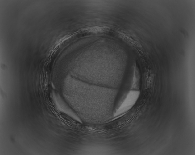 X0000090491158200708031140