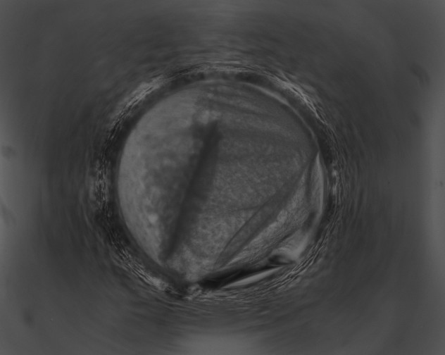 X0000090491159200708031140