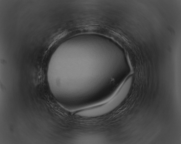 X0000090491160200708031140