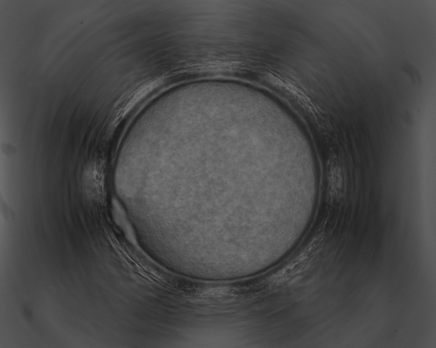 X0000090491162200708031140