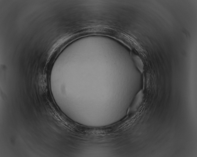 X0000090491164200708031140