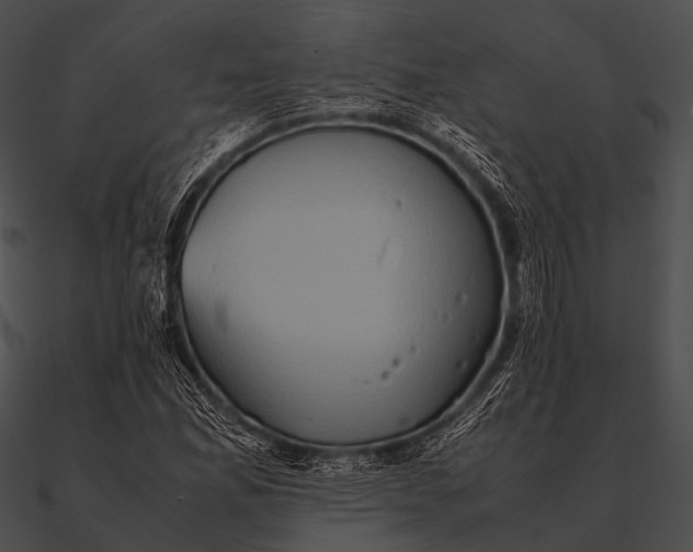 X0000090491165200708031140