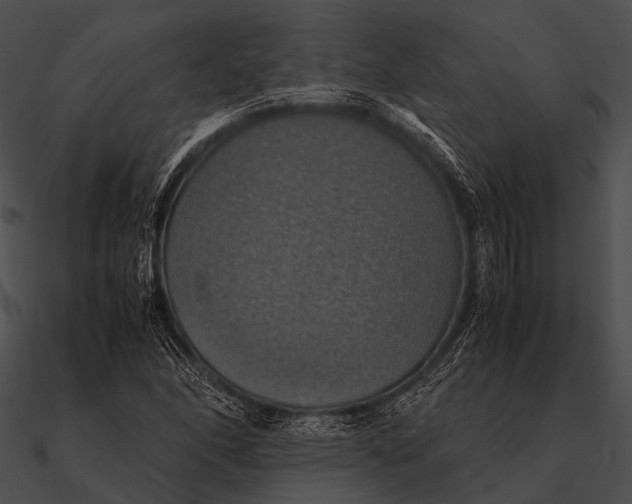 X0000090491166200708031140