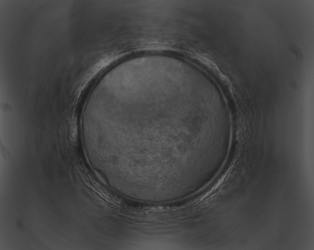 X0000090491167200708031140